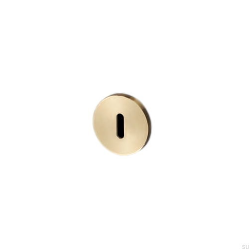 buster_punch_-_escutcheon_plate_brass_3_5[1].png