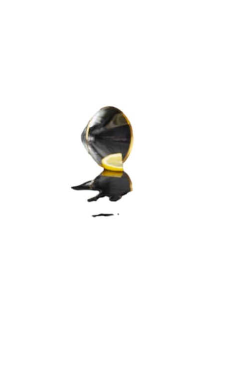 05181056L29_6