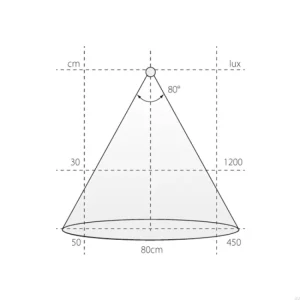 Spot LED Vega 24V/5W 2700K Czarny Mat