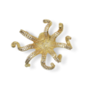 Octo PullCast