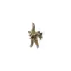 Linckia PullCast