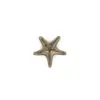 Linckia PullCast