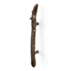 Twig PullCast