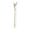 Strelitzia PullCast