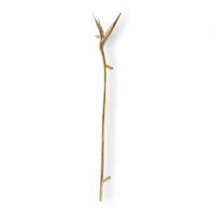 Strelitzia PullCast