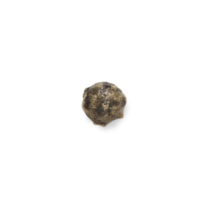 Oak PullCast