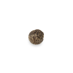 Maple PullCast