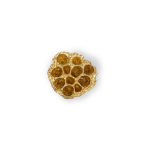 Comb PullCast