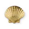 Seashell PullCast
