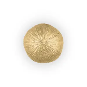 Urchin PullCast