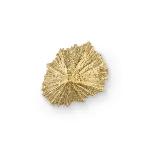 Limpet PullCast