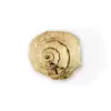 Imperial PullCast