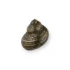 Oceana PullCast