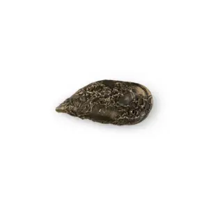 Coral PullCast