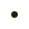Pianoa PullCast