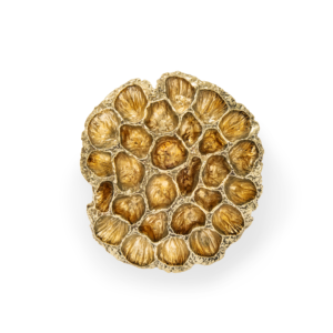 Comb PullCast