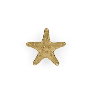 Linckia PullCast