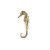 Aquaria Big PullCast