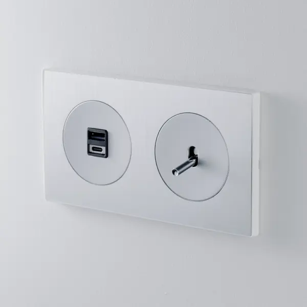 Ramka 2-krotna z szczotkowanego aluminium z włącznikiem pojedynczym i ładowarką USB A+C 20W, z chromowaną dźwignią i srebrnymi plakietkami