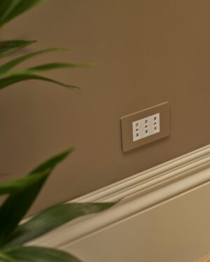 Grove 3-Module 3x Bipasso Socket – Paintable White