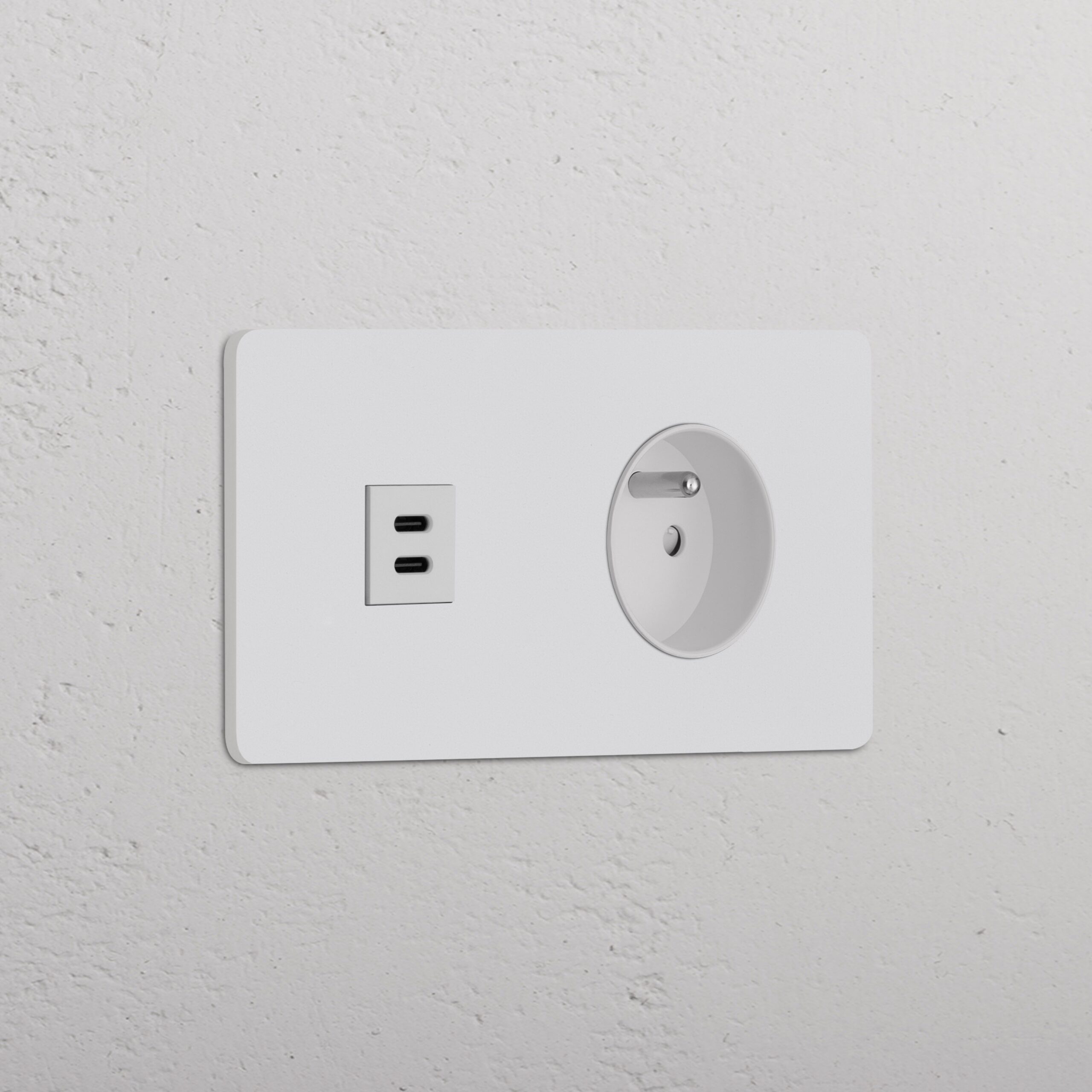 Grove Gniazdo USB-C 30 W i francusko/belgijskie typu E w podwójnej ramce – Do malowania, Biały