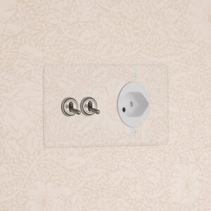 Kew Double 2x Toggle & Swiss Module – Clear Satin Nickel White