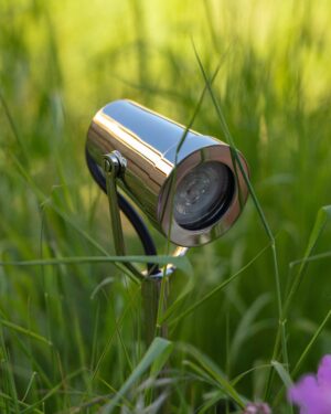 Cambridge reflektor gruntowy 24 V – Polerowany nikiel