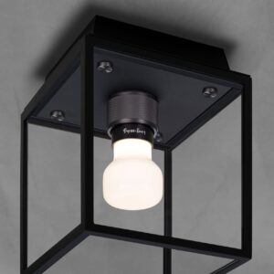 Lampa sufitowa Caged Wet S – Czarny