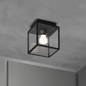 Lampa sufitowa Caged Wet S – Czarny