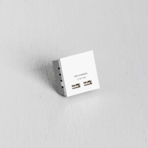Moduł Gniazda podwójne USB do Euro Plate Standard Brytyjski – Biały (UK)