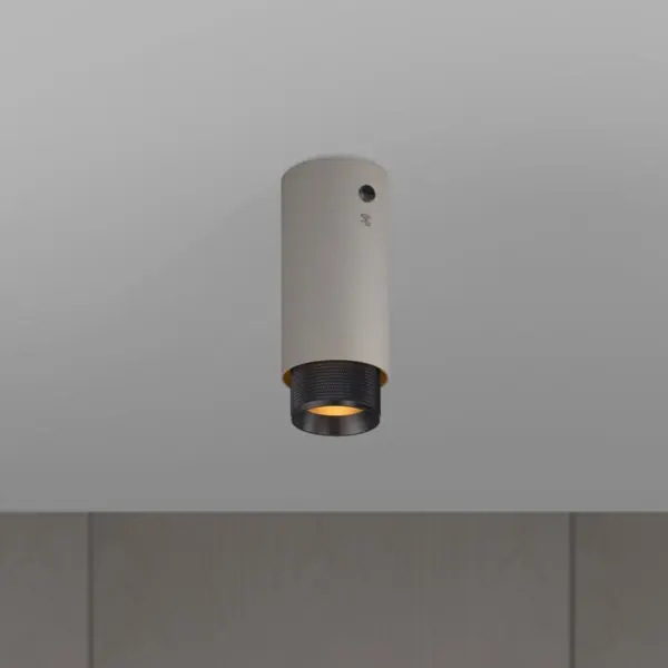 Lampa sufitowa punktowa Exhaust Cross Szara z Palonym Brązem – Szary