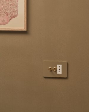 Grove 3-Module 2x Toggle Switch & Bipasso Socket – Paintable Antique Brass, Biały