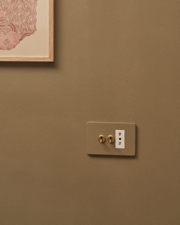 Grove 3-Module 2x Toggle Switch & Bipasso Socket – Paintable Antique Brass, Biały