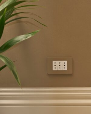 Grove 3-Module 3x Bipasso Socket – Paintable White