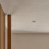 Buxton ognioodporna stała oprawa oświetleniowa typu downlight bez obudowy 50 mm, Biały