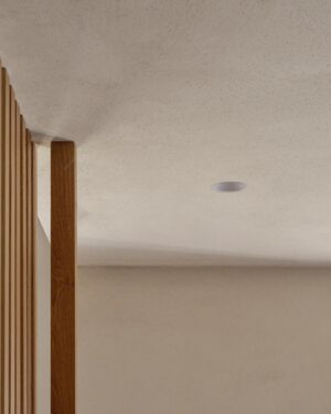 Buxton ognioodporna stała oprawa oświetleniowa typu downlight bez obudowy 50 mm, Biały