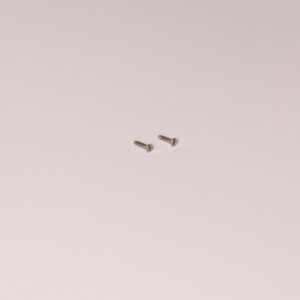 Rozeta z osłoną 2,8 mm x 13,5 mm Wkręty samogwintujące do drewna x2 – Polerowany nikiel