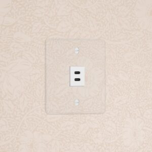 Kew Gniazdo USB-C 30 W w pojedynczej ramce – Przezroczysty, Biały