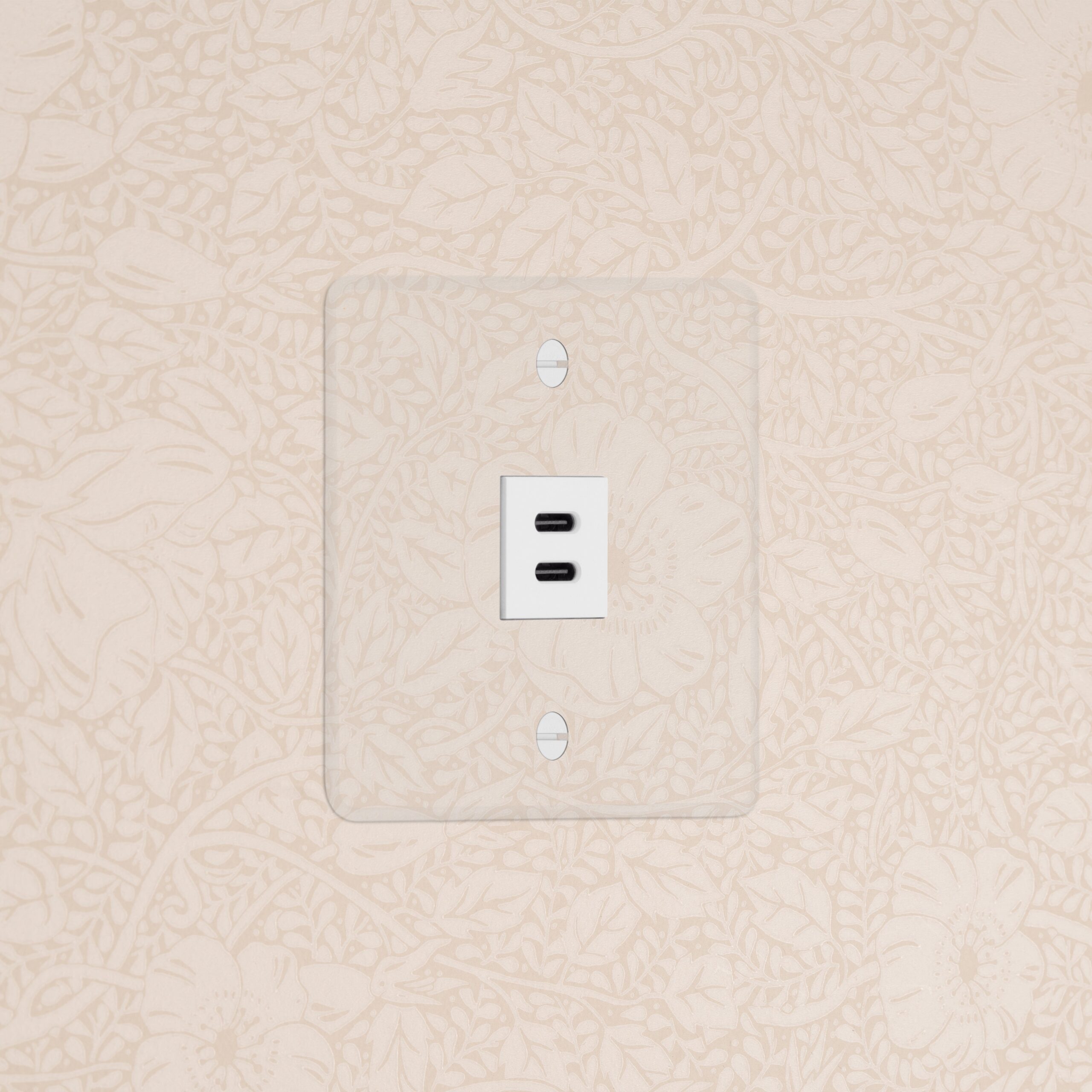 Kew Gniazdo USB-C 30 W w pojedynczej ramce – Przezroczysty, Biały