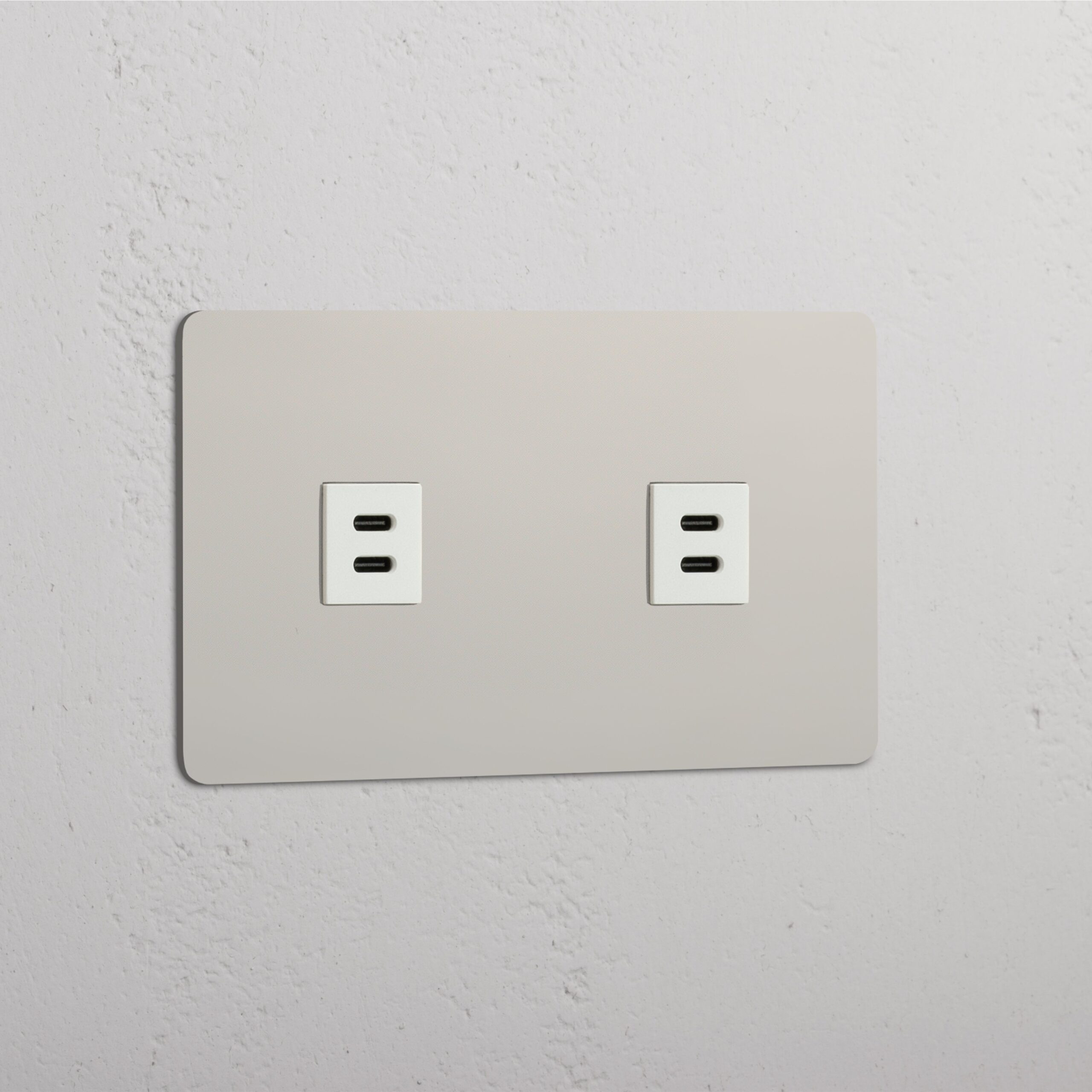 Kew Gniazdo USB-C 30 W x 2 w podwójnej ramce – Polerowany nikiel, Biały