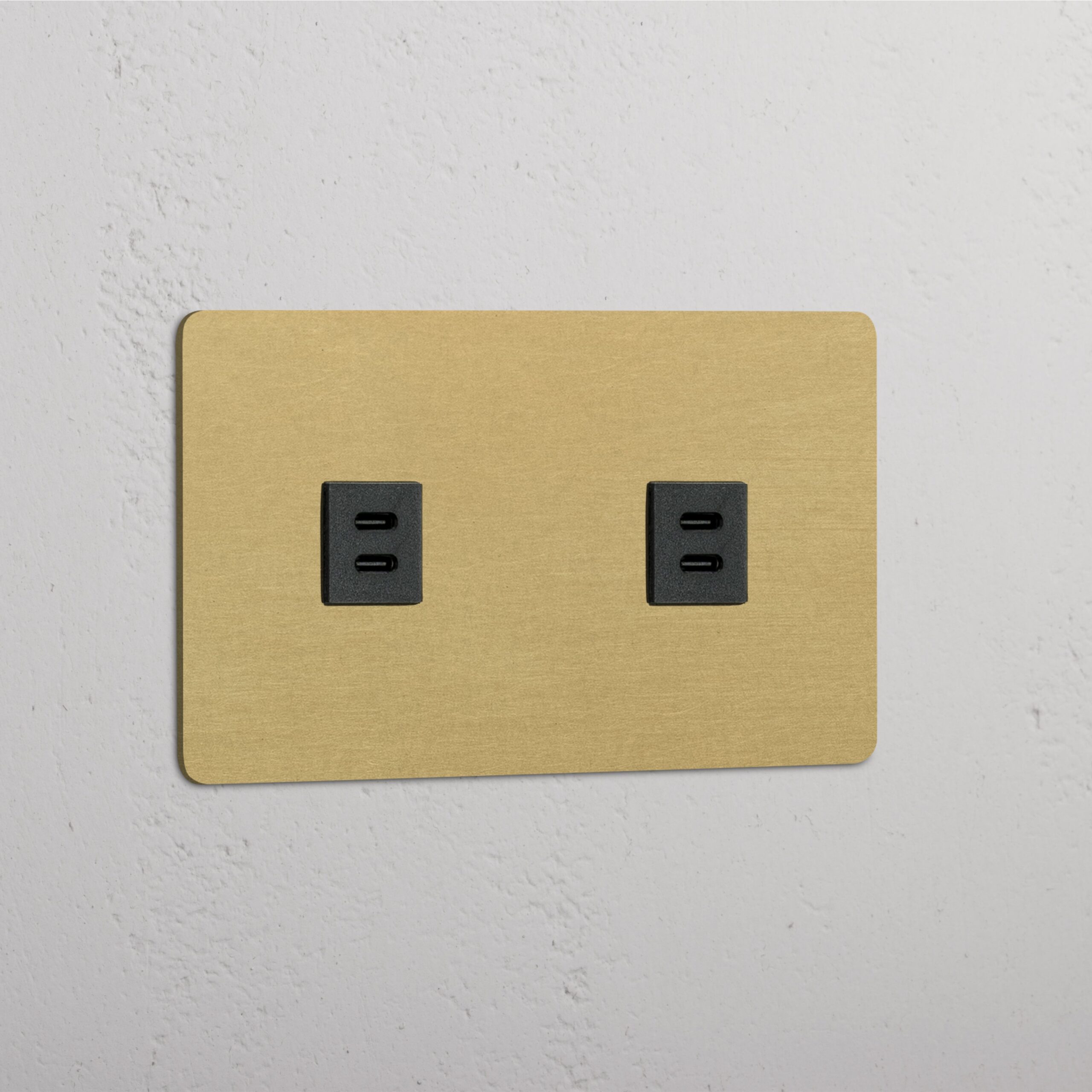 Kew Gniazdo USB-C 30 W x 2 w podwójnej ramce – Antyczny mosiądz, Czarny