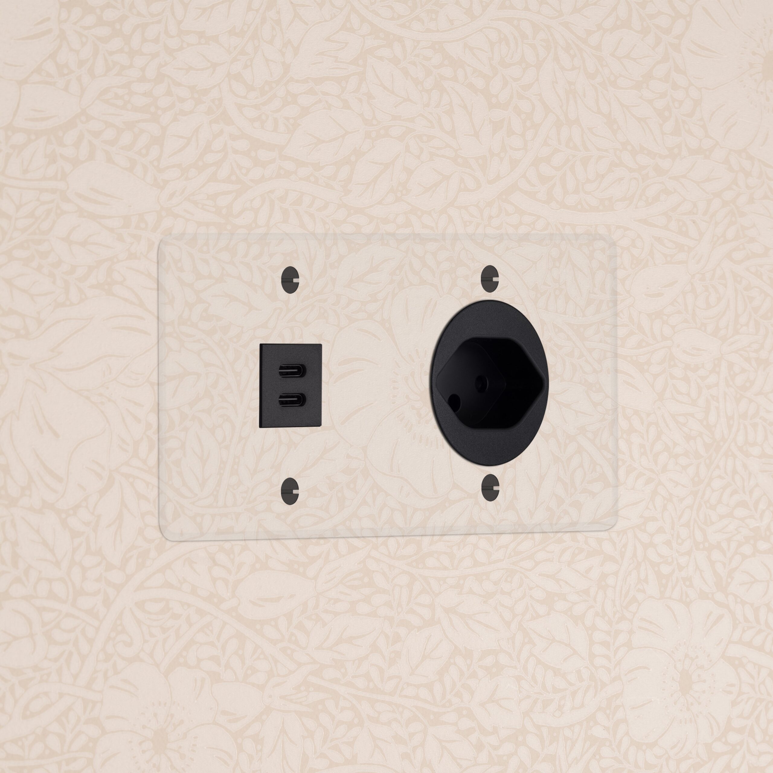 Kew Gniazdo USB-C 30W i szwajcarskie typu J w podwójnej ramce – Przezroczysty, Czarny