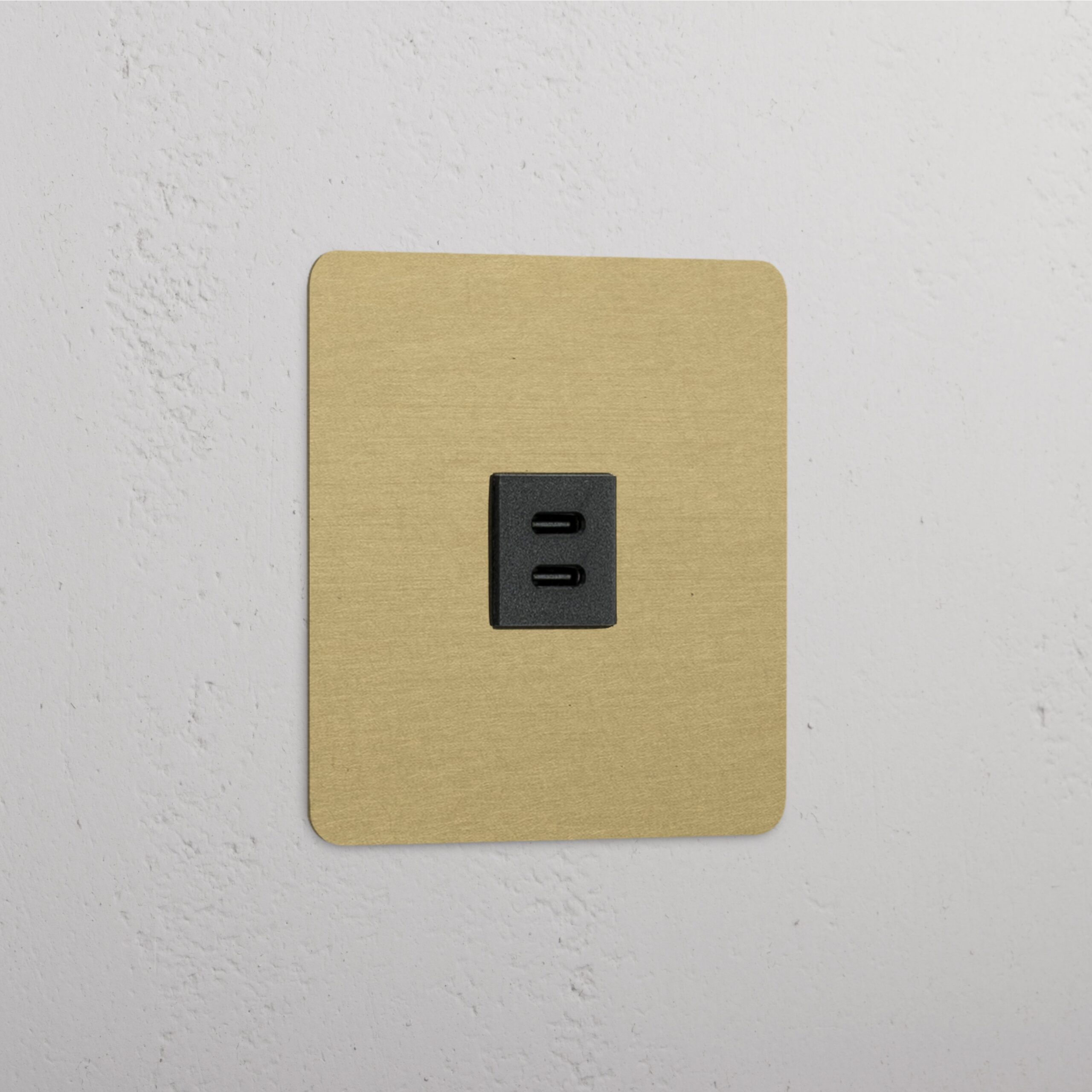 Kew Gniazdo USB-C 30 W w pojedynczej ramce – Antyczny mosiądz, Czarny