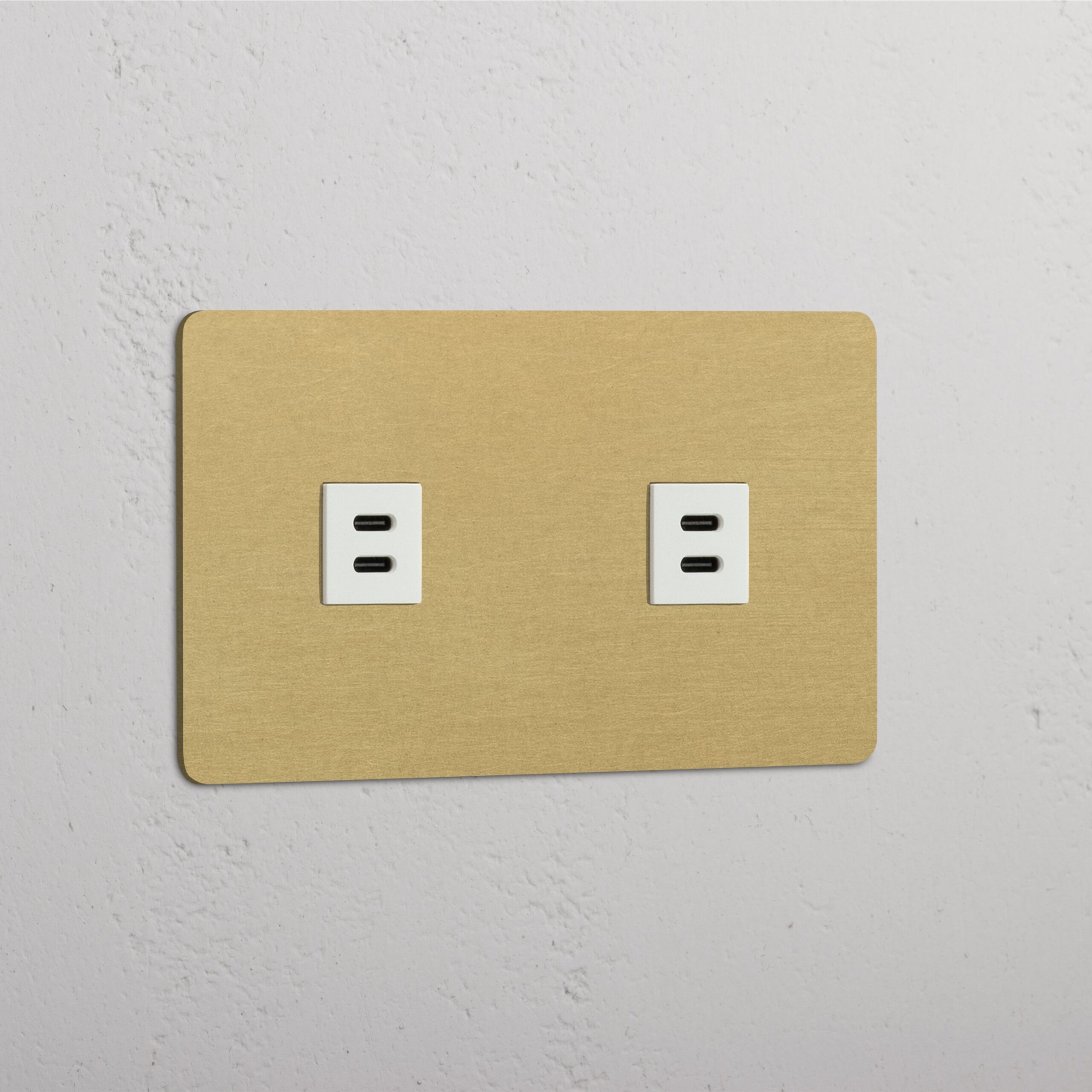 Kew Gniazdo USB-C 30 W x 2 w podwójnej ramce – Antyczny mosiądz, Biały