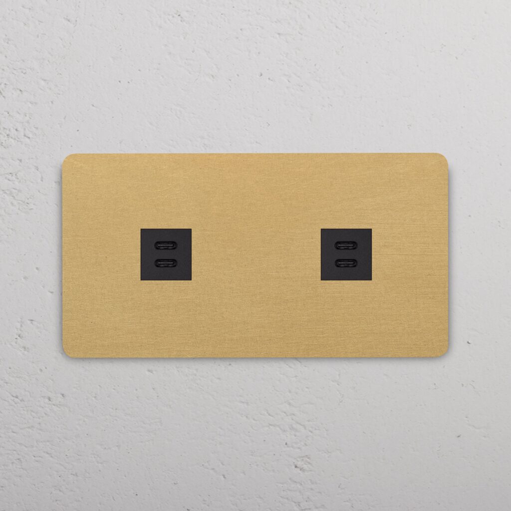 Grove Gniazdo USB-C 30 W x 2 w podwójnej ramce – Antyczny mosiądz, Czarny