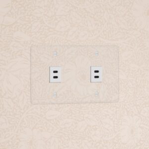 Kew Gniazdo USB-C 30 W x 2 w podwójnej ramce – Przezroczysty, Biały