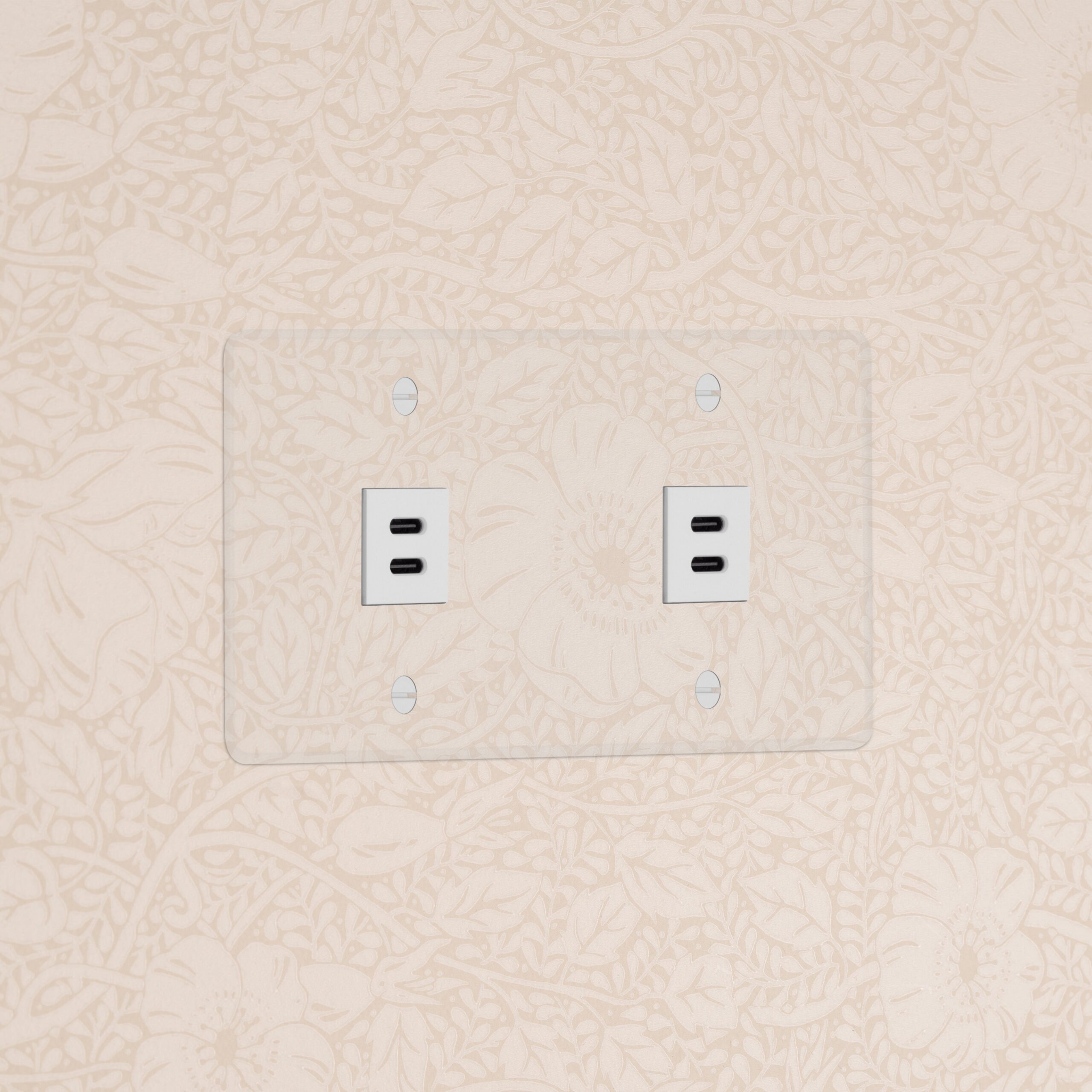 Kew Gniazdo USB-C 30 W x 2 w podwójnej ramce – Przezroczysty, Biały