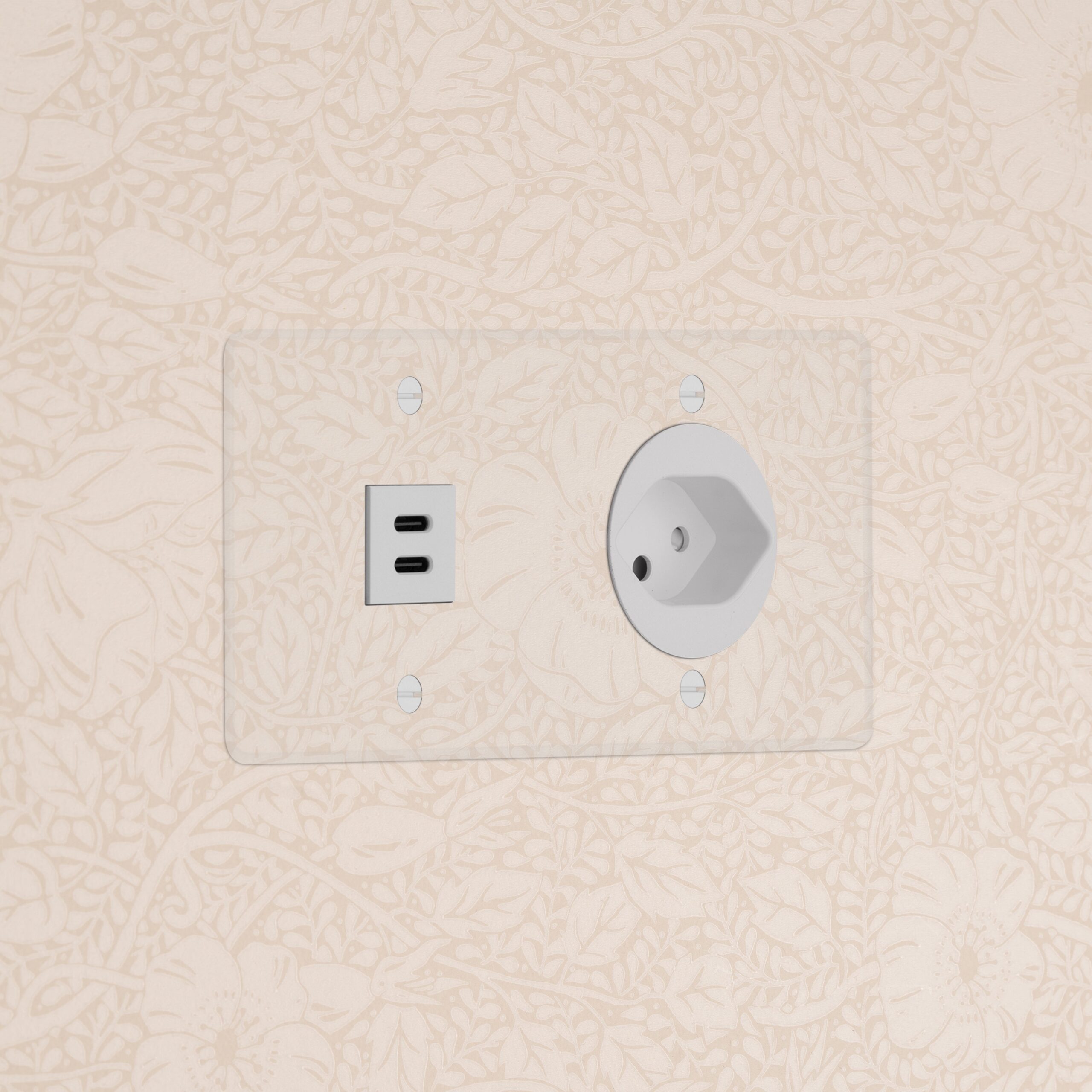 Kew Gniazdo USB-C 30W i szwajcarskie typu J w podwójnej ramce – Przezroczysty, Biały
