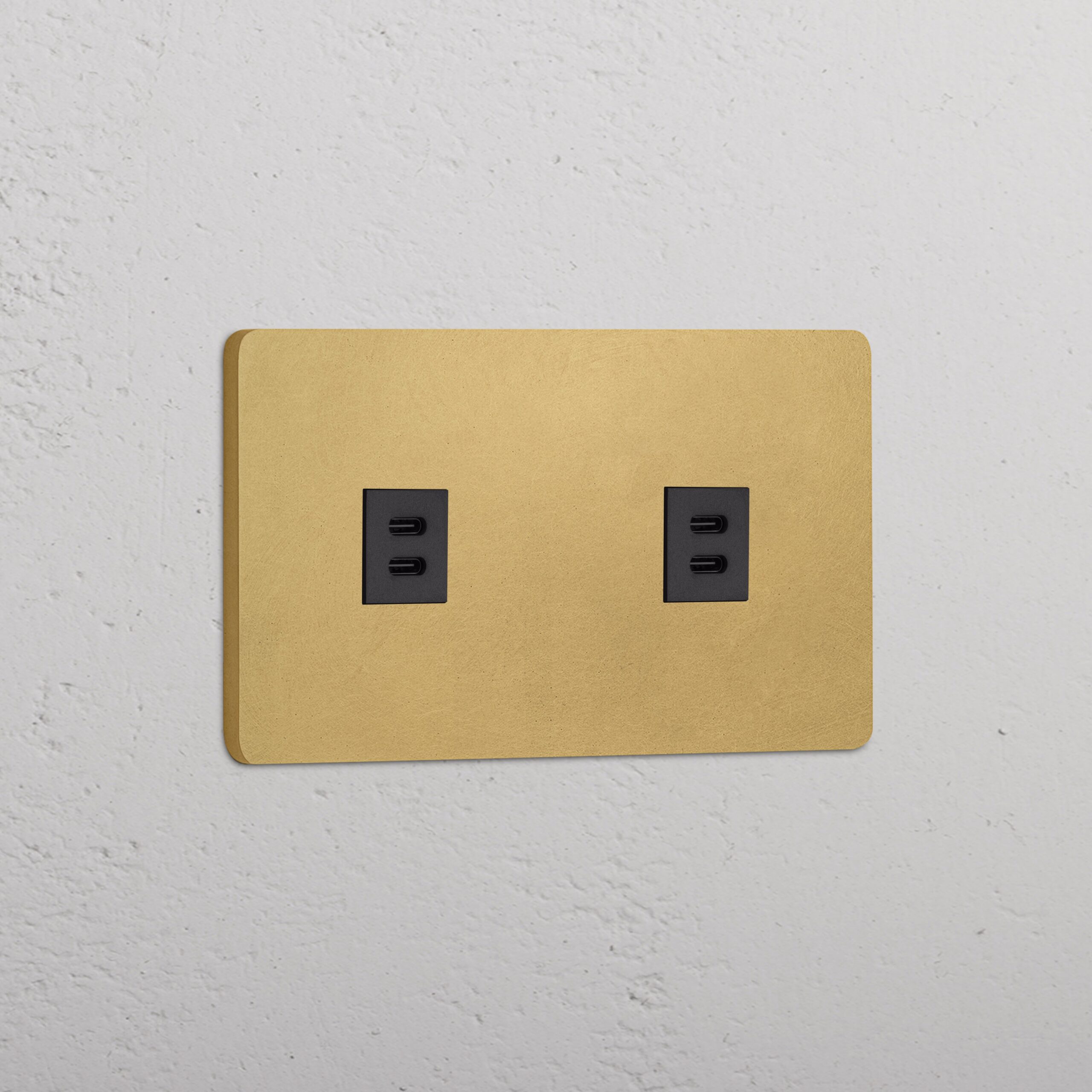 Grove Gniazdo USB-C 30 W x 2 w podwójnej ramce – Antyczny mosiądz, Czarny
