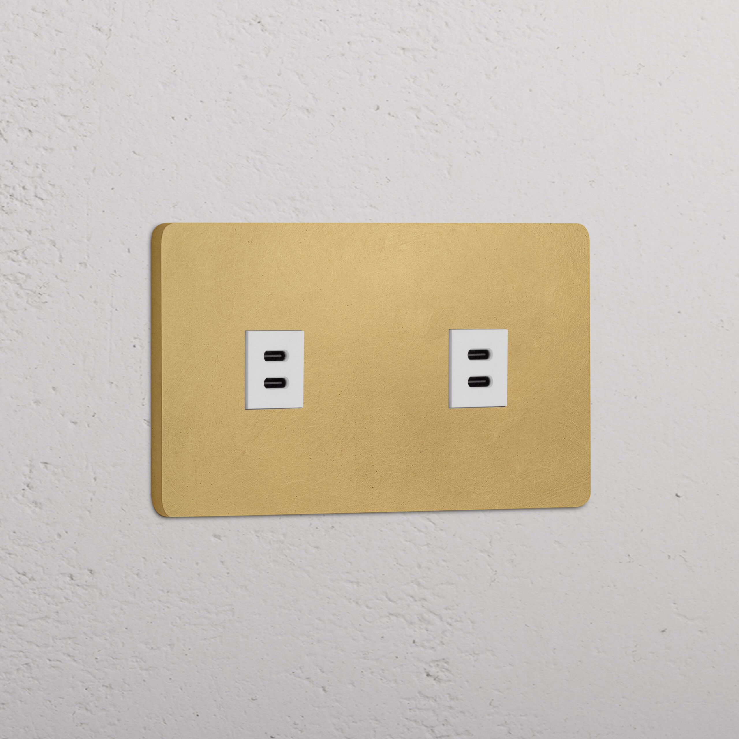 Grove Gniazdo USB-C 30 W x 2 w podwójnej ramce – Antyczny mosiądz, Biały